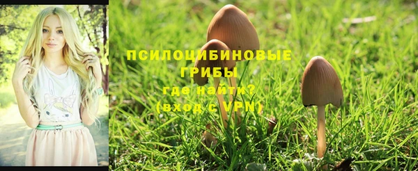 кристаллы Армянск