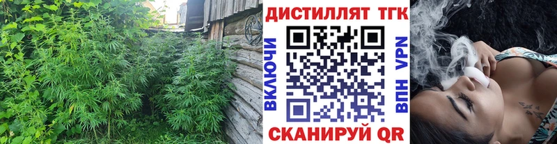 ТГК концентрат  Почеп 