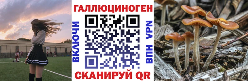 Псилоцибиновые грибы мицелий  Почеп 