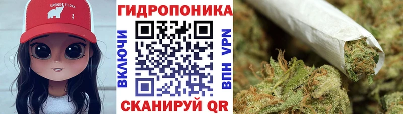 дарнет шоп  Почеп  darknet Telegram  Бошки Шишки AK-47 